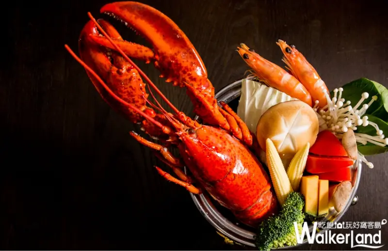 爆表加碼！滿滿港點除了吃到飽，加點199元，整隻龍蝦鍋端上桌。