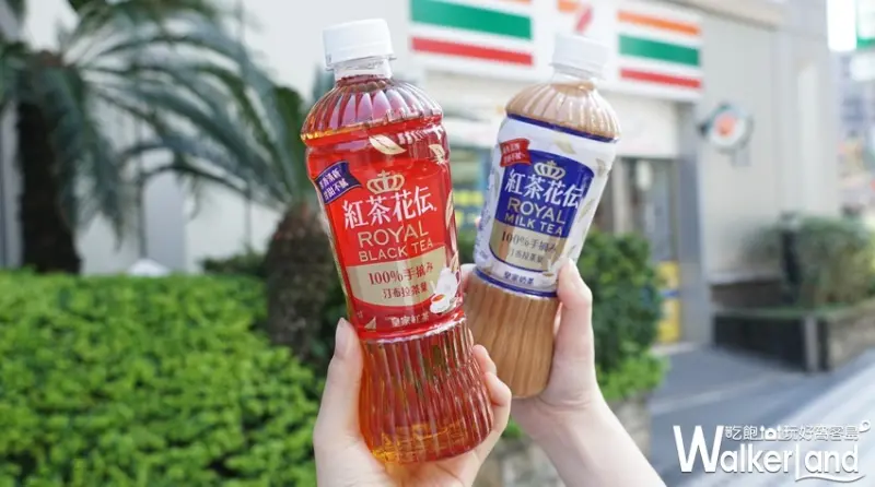 紅茶花伝 / WalkerLand窩客島提供