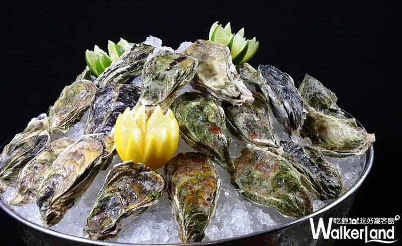 美麗信雨林餐廳 / WalkerLand窩客島整理提供