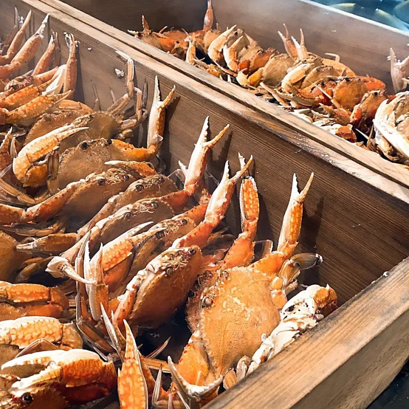 堪稱最強吃到飽餐廳！「漢來海港」推出創店以來最低折扣，壽星當日用餐可享6折優惠。