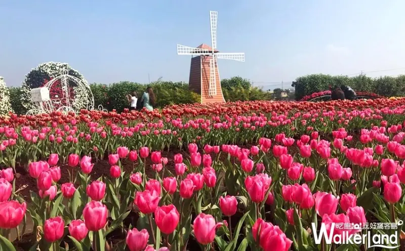 中社觀光花市 / WalkerLand窩客島整理提供