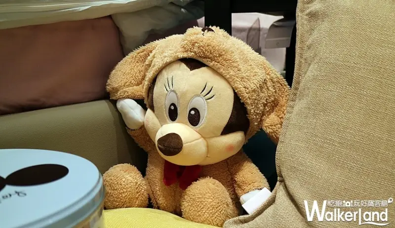 HOLA 20週年慶 / WalkerLand窩客島整理提供