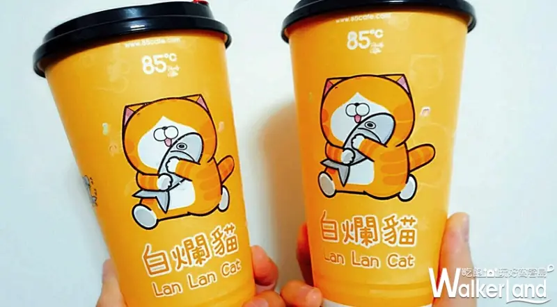 85˚C 重奶茶 / WalkerLand窩客島整理提供