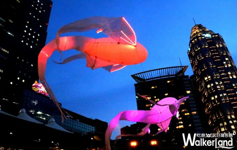 板橋Les Luminéoles光之鳥 / WalkerLand窩客島提供