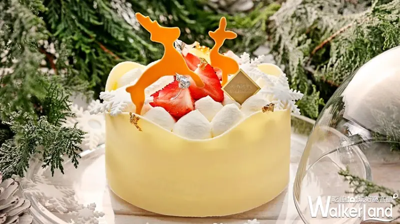 侯布雄 聖誕限定 / WalkerLand窩客島提供