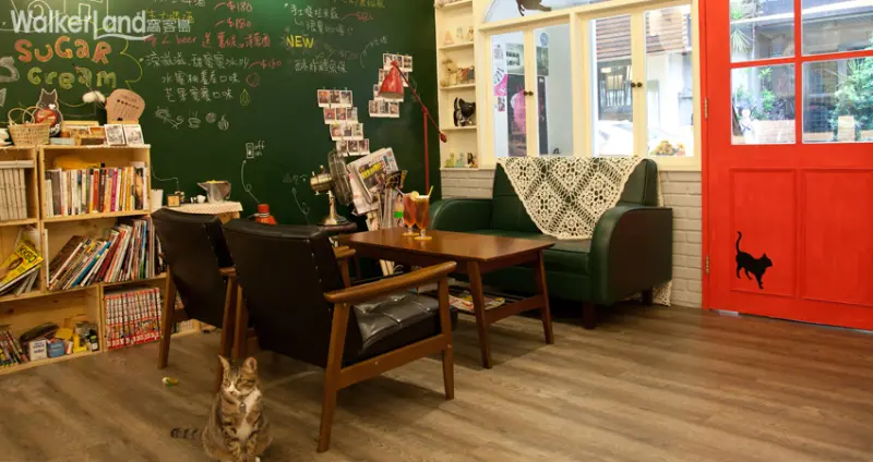 猫ちゃんの友達可愛的貓咪相伴左右