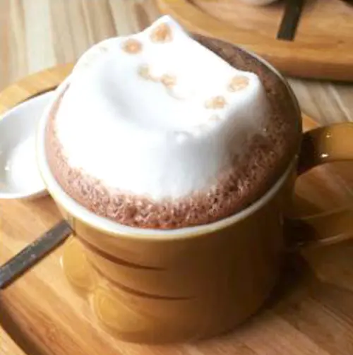 台北 ▌信義區立體貓臉拉花咖啡：框影咖啡館The Who Cafe wifi/插座/不限時