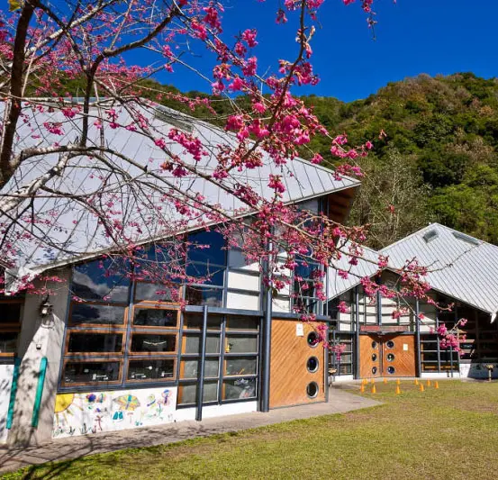 秀林│西寶國小～國家公園中的美麗森林小學