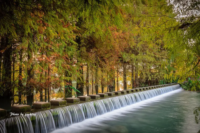 花蓮景點「雲山水濕地生態園區」/ 窩客 jacklsy 提供