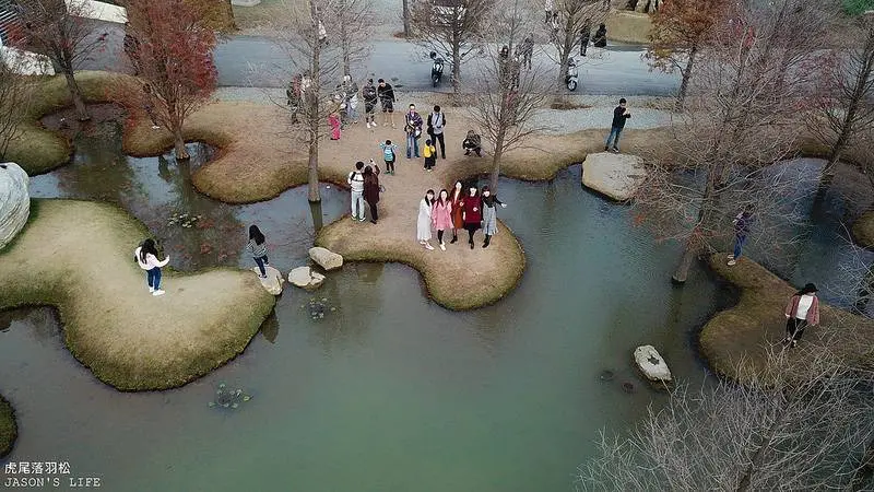 窩客Ching-Lin Chen 曾在 雲林虎尾青埔落羽松 推薦提供