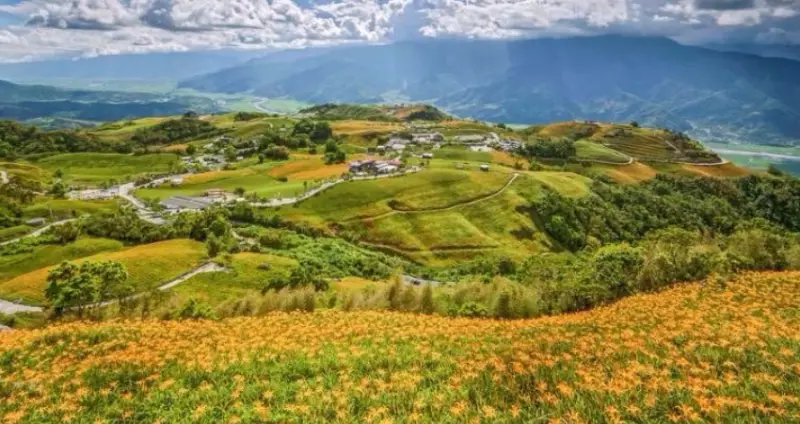 【花蓮】六十石山．忘憂亭小瑞士金針花海、日出