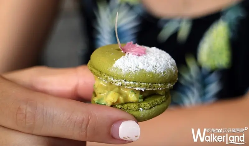 寒舍艾麗酒店The Terrace / WalkerLand窩客島整理提供