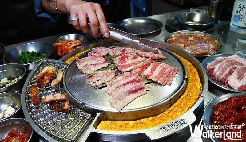 新麻蒲海鷗 / WalkerLand窩客島提供