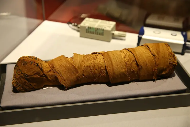 聯合數位文創 / WalkerLand窩客島整理提供