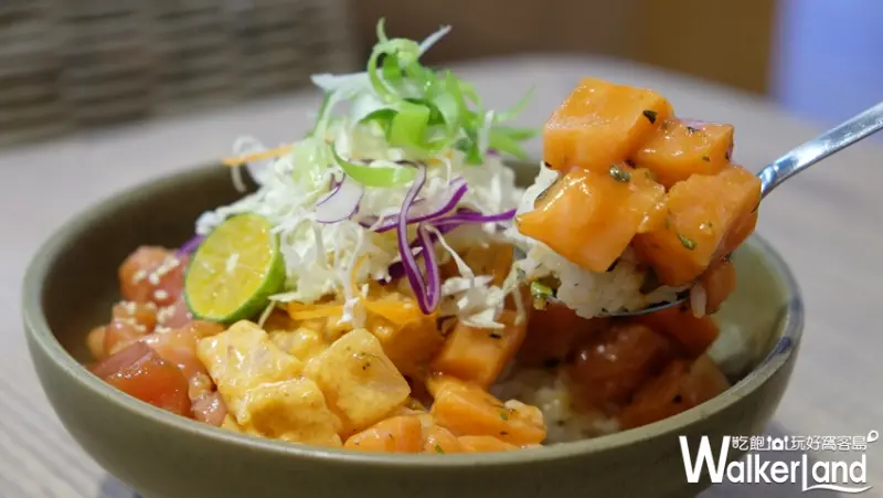 Pokeholic波奇哈客/ WalkerLand窩客島提供