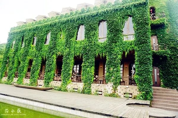 旅遊窩客 芯小荻 提供 / 天空之城