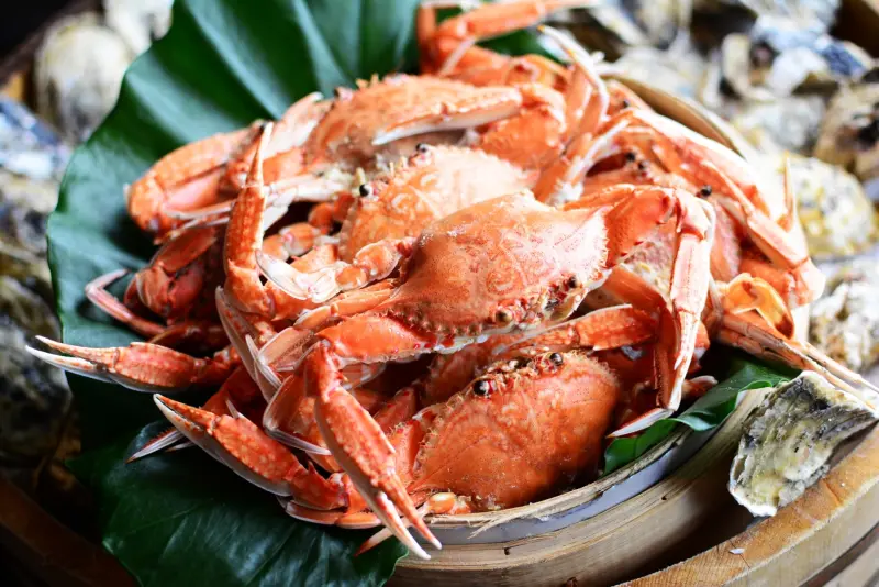 新鮮直送！君品雲軒西餐廳、品花苑「澎湖夏日海鮮季」海鮮吃到飽！