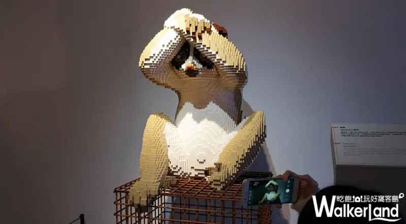 Nature Connects大動物奇積特展 / WalkerLand窩客島提供