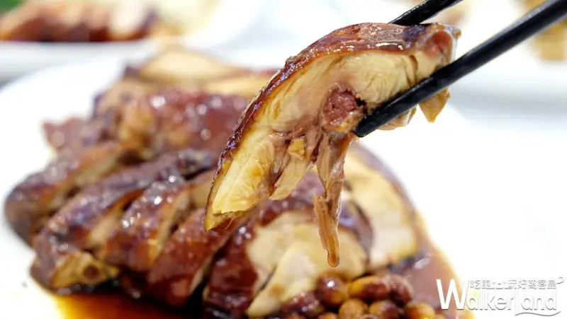 中壢人必須吃！新加坡最強「了凡香港油雞飯麵」8/19插旗大江購物中心，連續13天「招牌油雞飯」直接送。