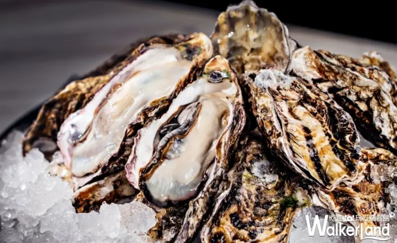 吃到飽再升級！煉‧瓦日本主題式吃到飽菜色再升級，加碼推出「廣島生蠔」無限量供應，搶攻吃到飽最高CP值寶座。