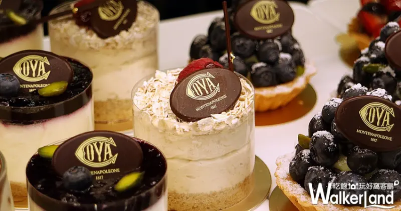 COVA101店 / WalkerLand窩客島提供