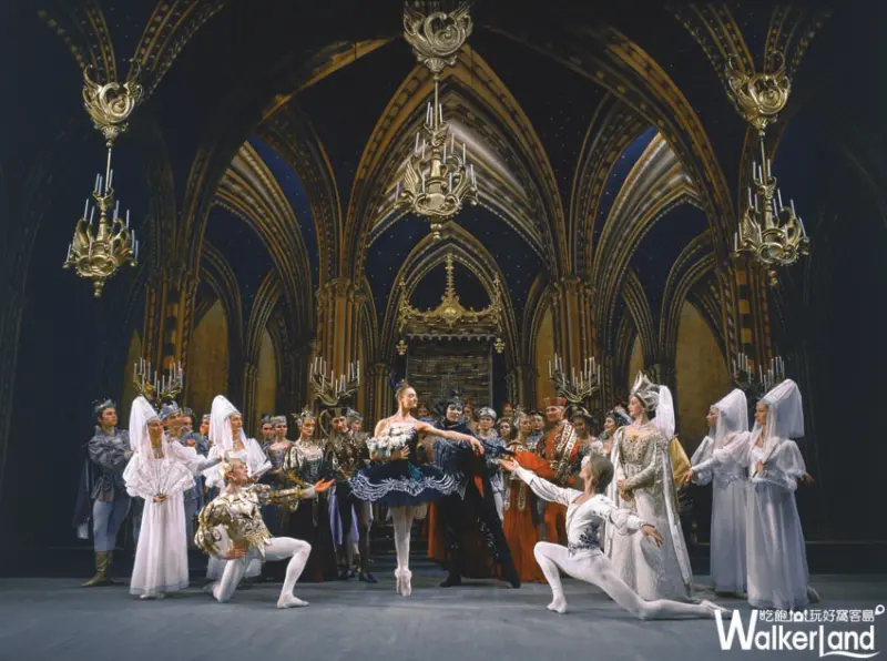 俄羅斯第一天鵝回來了！舉世聞名的聖彼得堡芭蕾舞團將來台演出「天鵝湖」！