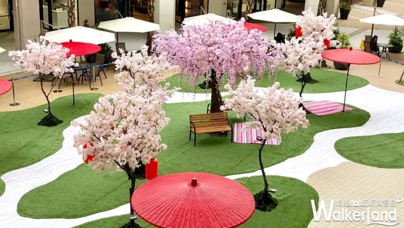 林口三井Outlet櫻花季「日式櫻花花園」 / WalkerLand窩客島整理提供 未經許可不可轉載