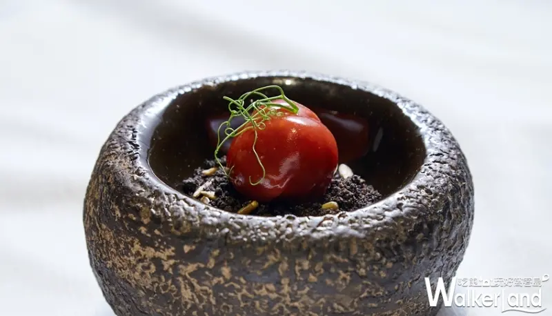  VERDE / WalkerLand窩客島整理提供