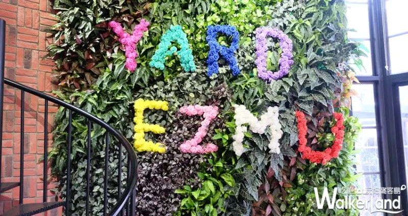 目木原覺 IG打卡 散步甜食 漸層飲料