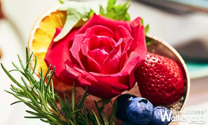 空中花園週末早午餐 / WalkerLand窩客島整理提供