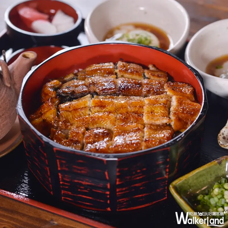 巨無霸鰻魚飯包準你沒吃過！「大江戶町鰻屋」頂級活鰻魚料理秀，300元就吃的到。