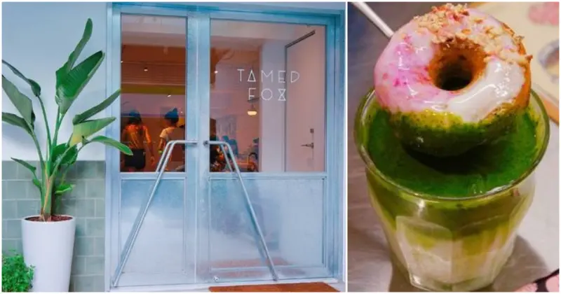 TAMED FOX|台北市大安區．信義安和站．超夯IG打卡咖啡廳．飲料上套著一個甜甜圈超可愛！各式創意飲品．色彩繽紛銀河甜圈．優格