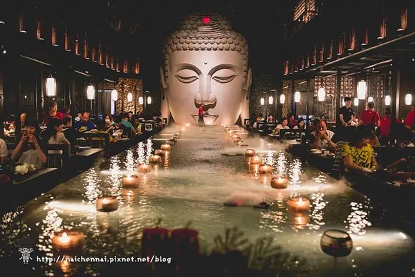 美食窩客 企鵝 曾在「天水玥 秘境鍋物殿」