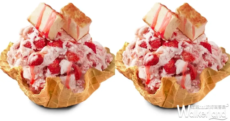 COLD STONE 草莓冰淇淋/ WalkerLand窩客島提供