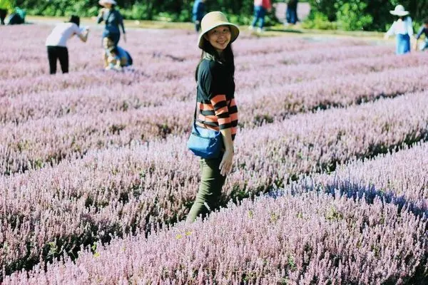 2018桃園花彩節 /旅遊窩客 大海愛上藍天 提供