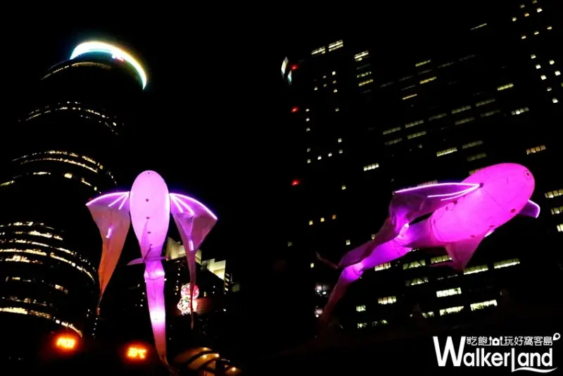 板橋Les Luminéoles光之鳥 / WalkerLand窩客島提供
