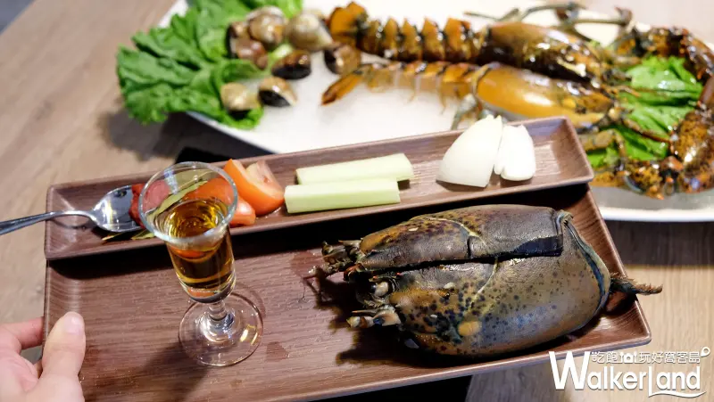 龍石鍋物「龍蝦火鍋」/ WalkerLand窩客島提供