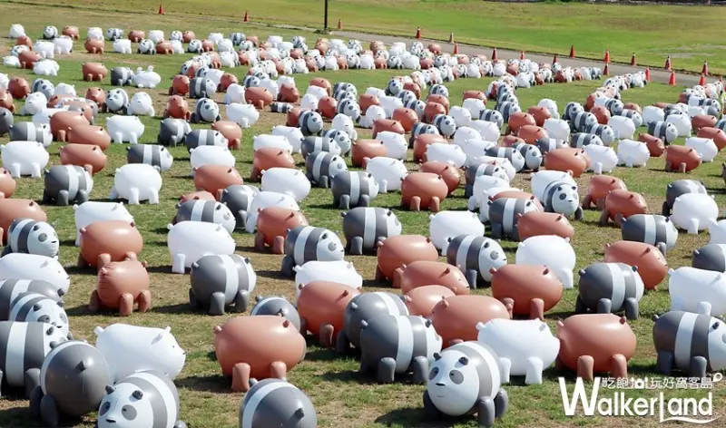 熊熊遇見你 / WalkerLand窩客島整理提供 未經許可不可轉載