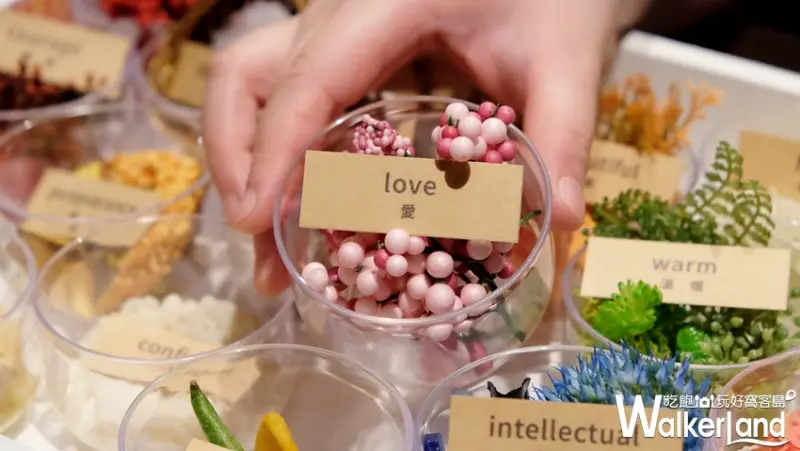 星球製造所/ WalkerLand窩客島提供