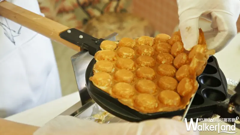 EGGY x PICNIC / WalkerLand窩客島提供