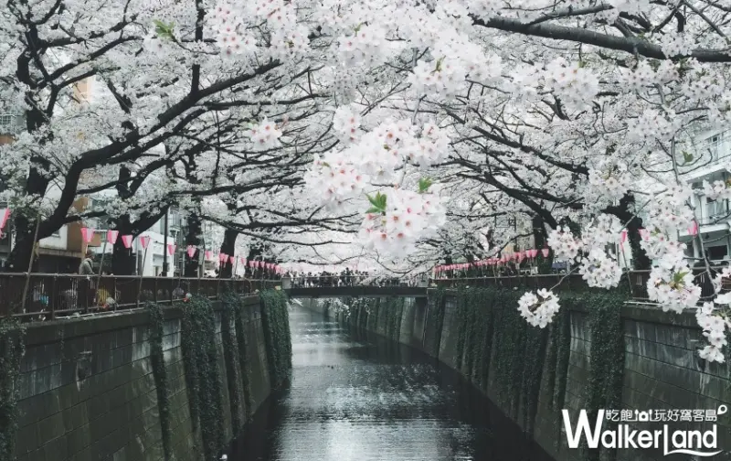 日雜時尚部落客 蔡欣妤 提供