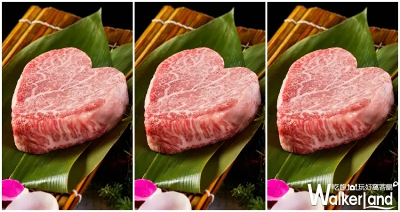 乾杯 / WalkerLand窩客島提供