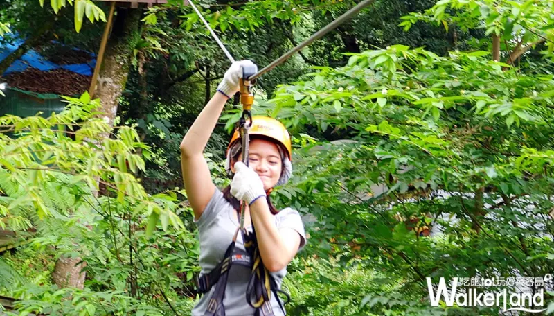 野猴子探險森林
