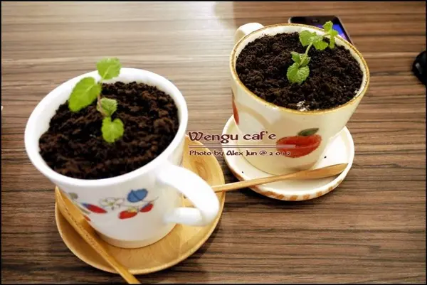 假鬼假怪 美食 懶人包 盆栽咖啡 溫古咖啡   / WalkerLand窩客島提供