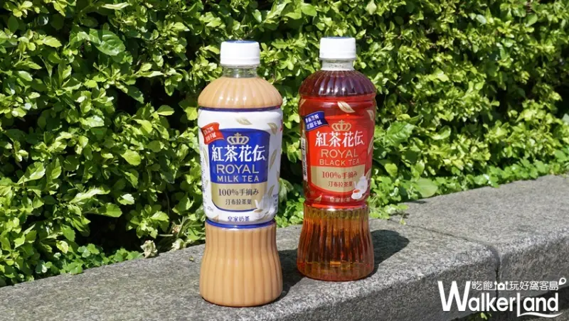 紅茶花伝 / WalkerLand窩客島提供