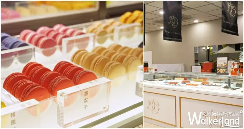 BELLAVITA / WalkerLand窩客島提供