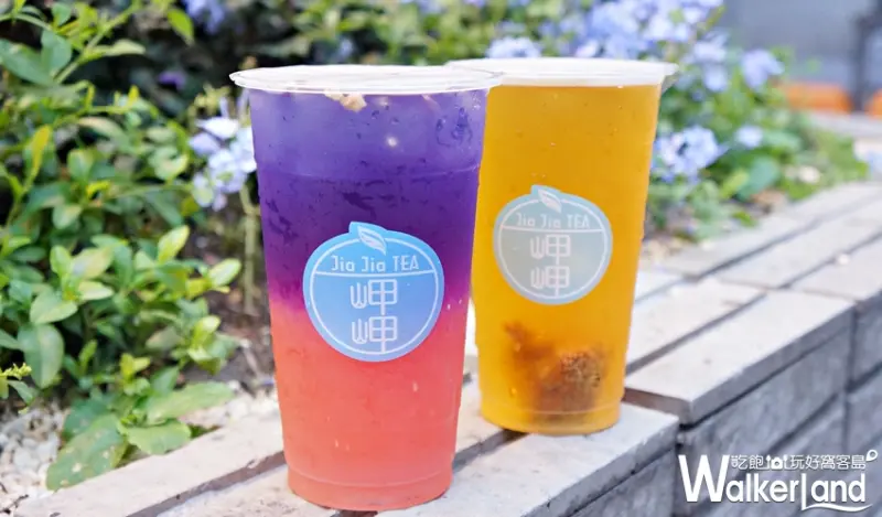 岬岬 / WalkerLand窩客島提供