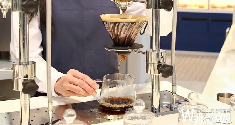 Big7 / WalkerLand窩客島提供