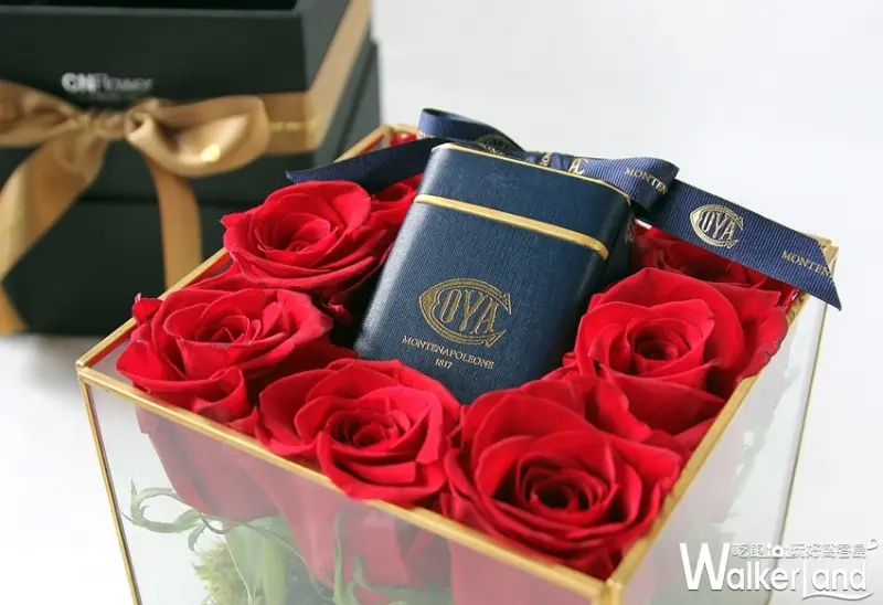 COVA / WalkerLand窩客島整理提供