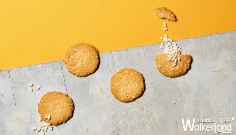 Aunt Stella / WalkerLand窩客島提供